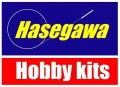  Hasegawa:  2012