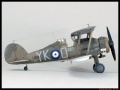 Sword 1/72 Gloster Gladiator Mk.I