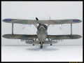 Sword 1/72 Gloster Gladiator Mk.I