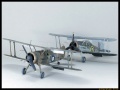 Sword 1/72 Gloster Gladiator Mk.I