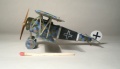 Roden 1/72 Fokker D.VI