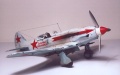 ICM 1/48 -3