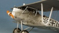 Eduard 1/48 Pfalz D.IIIa -   