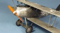 Eduard 1/48 Pfalz D.IIIa -   