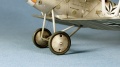 Eduard 1/48 Pfalz D.IIIa -   