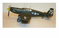 Accurate Miniatures 1/48 P-51A Mustang Jackie