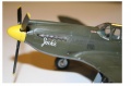 Accurate Miniatures 1/48 P-51A Mustang Jackie