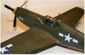 Accurate Miniatures 1/48 P-51A Mustang Jackie