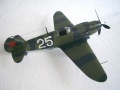 ICM 1/48 -3