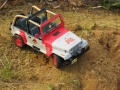 Tamiya 1/24 Jeep Wrangler - Jurassic Park Jeep