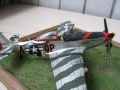  Revell 1/48 P-51D Mustang