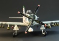 Hasegawa 1/72 A-1H Skyrader