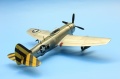 Sword 1/72 P-47N Thunderbolt