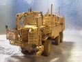  Bronco 1/35 Buffalo MPCV 6x6 with MEAP & slat armor