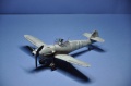  Hasegawa+ 1/48 Bf-109G-6/AS -  