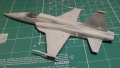 HobbyBoss 1/72 F-5E Tiger II