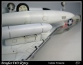 Tamiya 1/48 F4D Skyray -    