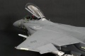 Tamiya 1/32 F-15E -     ... 3