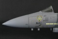 Tamiya 1/32 F-15E -     ... 3