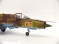 Eduard 1/48 -21,  09 