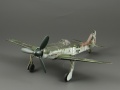 Eduard 1/48 Fw-190D-11 -  