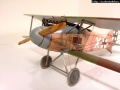 Eduard 1/48 Albatros D.II - D.504/16 Rudolf von Esebeck