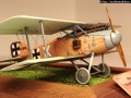 Eduard 1/48 Albatros D.II - D.504/16 Rudolf von Esebeck