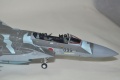  Academy 1/48 F-15DJ - Banzai in fly!