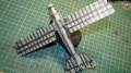 Eduard 1/48 Roland C.II Walfish -  ,   