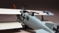 Eduard 1/48 Roland C.II Walfish -  ,   