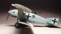 Eduard 1/48 Roland C.II Walfish -  ,   