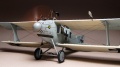 Eduard 1/48 Roland C.II Walfish -  ,   