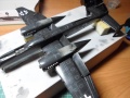 Tamiya 1/48 He-219A-7 UHU