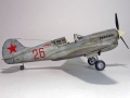 Hasegawa 1/48 P-40K Kittyhawk -    ...