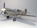 Hasegawa 1/48 P-40K Kittyhawk -    ...