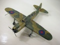 Special Hobby 1/72 Brewster SB2A Buccaneer -    