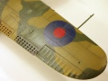 Special Hobby 1/72 Brewster SB2A Buccaneer -    