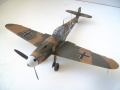  1/48 Bf-109F2 Von Hofe