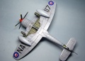 Trumpeter 1/48 Sea Fury FB.11