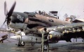 Tamiya 1/48 A-1J Skyraider -    