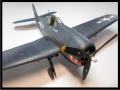 Eduard 1/48 F6F-5 Hellcat