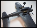 Eduard 1/48 F6F-5 Hellcat