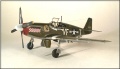 Tamyia 1/48 P-51B Mustang