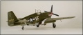 Tamyia 1/48 P-51B Mustang