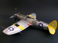 Academy 1/48 P-47N Thunderbolt Expected Goose