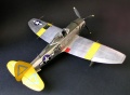 Academy 1/48 P-47N Thunderbolt Expected Goose