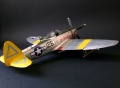 Academy 1/48 P-47N Thunderbolt Expected Goose