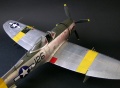 Academy 1/48 P-47N Thunderbolt Expected Goose