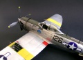 Academy 1/48 P-47N Thunderbolt Expected Goose