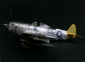 Academy 1/48 P-47N Thunderbolt Expected Goose